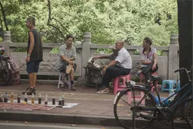 什么泡茶器最配凤凰单丛？图片