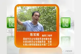 壮壮帮忙：核桃树天牛该咋防治图片