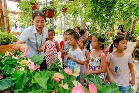 双语寻园趣 揭开植物生长的秘密图片