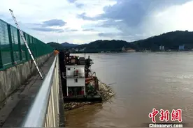 广西梧州一挖沙船走锚失控撞上大桥 桥面暂无裂缝图片