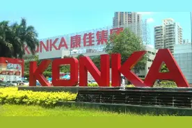 净利增长靠补助和资产出售 康佳转型并不容易图片