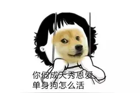 「七夕特刊」致警营里的牛郎织女们！图片