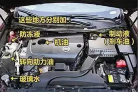 「姿势」车上各种油液多久换一次？记住这张时间表，爱车毛病少8成图片