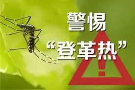 登革热在杭已有104例病例，该怎么做都在这条微信里了图片
