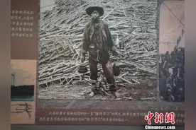 巴西设中国移民日 侨胞两百年辛苦打拼终获认可图片