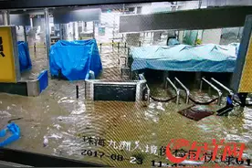 “天鸽”致边检系统瘫痪 九洲港香港航线短期无法恢复图片