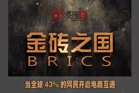 金砖之国：当全球43%的网民开启电商互通图片