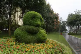 不仅是绿道还是城市公园！成都“最萌”绿道惊艳亮相图片