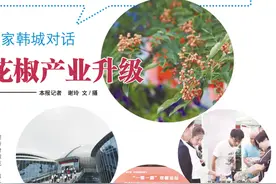 双椒论坛国内外专家韩城对话 科技支撑花椒产业升级图片