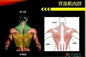 动态教学！全运会健儿们的矫健身姿你也可以有图片