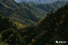 长坝有圣境，巍巍青龙山图片