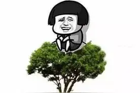 天凉好个秋！青岛下半年免费公园大全，赶快走起~图片