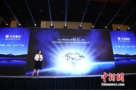 华润置地华南大区深圳项目投资分享会北京举行图片