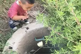 暖心！呼和浩特：流浪狗落进枯井一个多月 不足3岁男孩天天喂其馒头图片