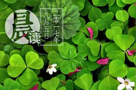 晨读｜北京多家五星级酒店被指退房后未换床品 酒店回应图片