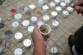 厉害！宁津一只蟋蟀卖出上万元图片