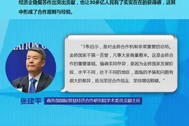 金砖已褪色？看专家如何解答图片