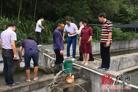 钟燕深入株洲县龙门镇调研扶贫工作图片