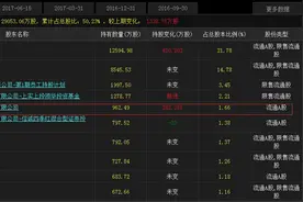 中信营业部大宗交易接盘万达信息 公司回应：并非国家队图片