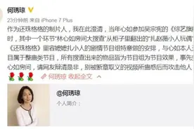 《还珠》制片力挺林心如：扎赵薇的小人是节目组安排的图片