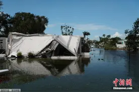 华人亲述逃离飓风36小时：食物被抢 加油站没油图片
