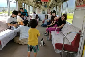 日本运行世界首列“猫咪列车” 乘客可与流浪猫玩耍(组图)图片