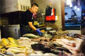 青岛开海一周市场多是小杂鱼 大鱼下周上市图片