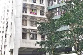 香港一男子趁妻外出擦窗户 疑重心失衡坠楼身亡图片