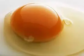 「生活家」鸡蛋越“黄”就越营养？图片