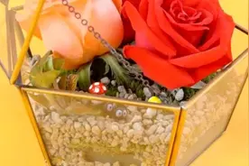 DIY鲜花礼盒拯救你：要想七夕过得好，必须有花有心（新）意！图片