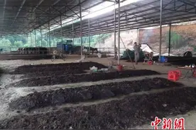 江西一养兔基地变废为宝：将兔粪用来养鱼、养蚯蚓（图）图片