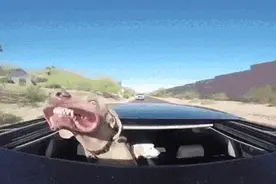 车辆不挂牌违法没事？这辆无牌小车飙到191km/h，没出高速就被查获！图片