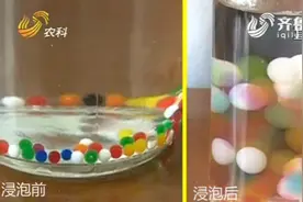 放电口香糖电麻手、海绵珠致眼肿胀…警惕这些危险玩具！图片