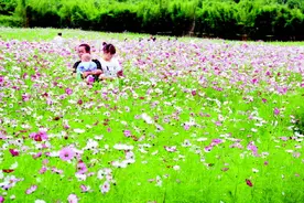 福泉移民新区 格桑花开迎国庆图片