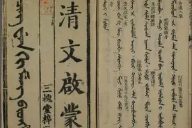 沈卫荣看“新清史”的热闹和门道⑤：满文文献？东方主义！图片