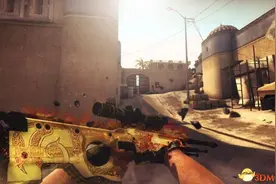 CSGO里龙狙最贵？前三都排不上！前三名能买一套房图片