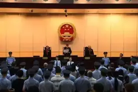 e租宝案：中国版庞氏骗局，今天宣判了！图片