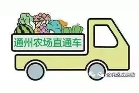 农场直通车丨向日葵、格桑花、虞美人……通州花仙子600亩花海美翻！100张门票免费送！图片