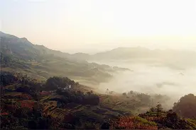 金秋时节酉阳花田美似“天上人间”图片