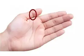 每天花点时间捏捏这几根手指，悄悄赶走这些疾病！图片