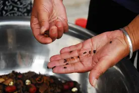 这个村子的村民喜欢吃虫子 每天还吃20多只……图片