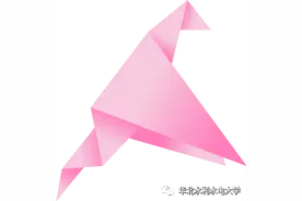 军训最强生存锦囊｜小薇带你玩转军训小秘密图片