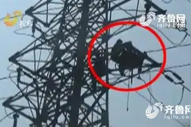 59秒丨维修工爬错变电塔遭电击 消防30米高空索降救人图片
