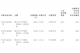 建业降价六成转让绿博项目20%股权,钱比地贵时代来临？图片