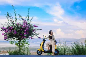 “电动车教父”雅迪：小小的车子背后是追求极致的匠人精神图片