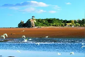 生活在秦皇岛的12种体验，总有一种让你感触至深！图片