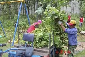 探访整治后的檀宫小区——在文明之风中迈向蜕变图片