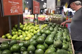 美国千禧一代买不起房是因为牛油果吃多了？｜CBNweekly图片