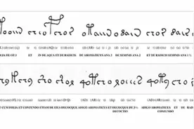 伏尼契手稿真的被破译了？图片