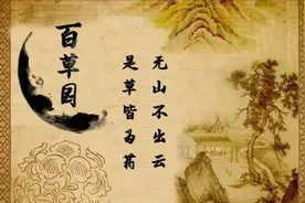「百草园」那些“悬壶济世”的植物（二十七）罗布麻图片